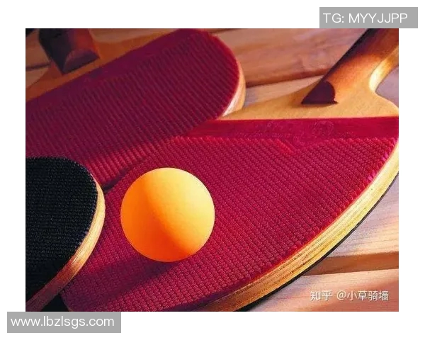 乒乓球爱好者必看护膝选购指南与推荐品牌分析